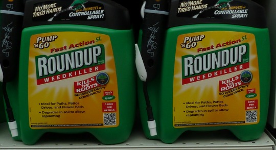 Moms to EPA: End Monsanto’s Poisoning of America