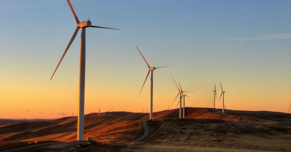With Wind Prices at a Record Low, Is the Clean Energy Revolution Upon Us?