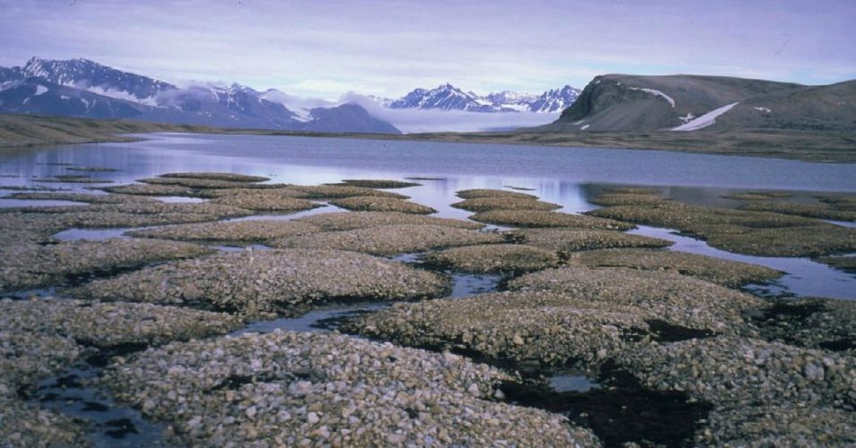 Melting Permafrost Could Cost World Economy $43 Trillion by 2100: Study